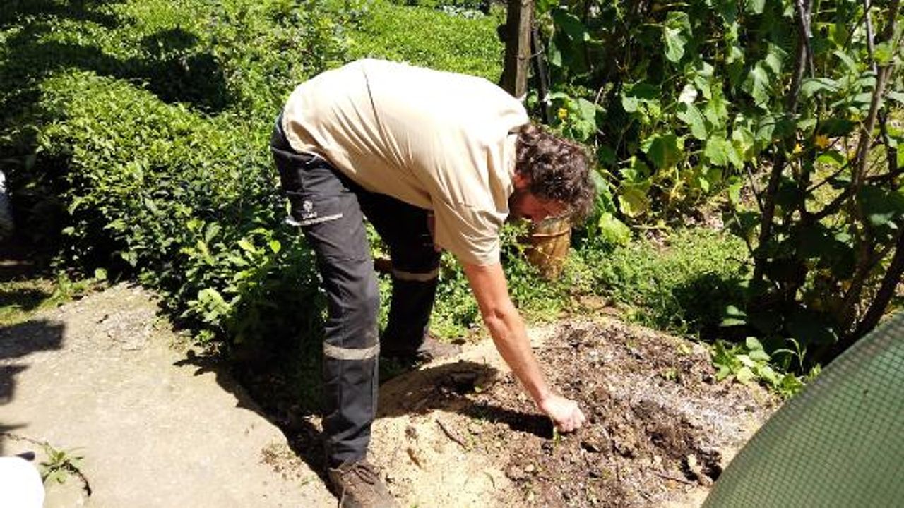 Mutfak atıklarından ürettiği kompost gübre ile yüzde 20 verim sağladı
