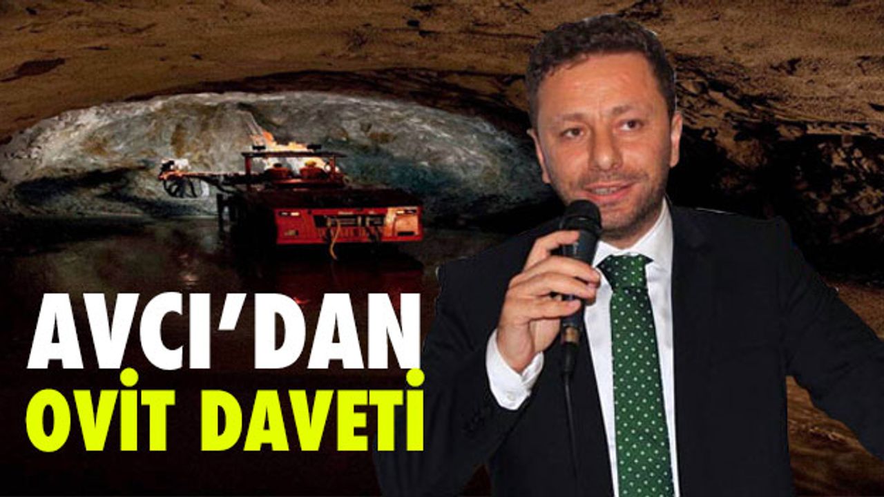 Avcı`dan Başbakan Yıldırım`ı Karşılama Daveti