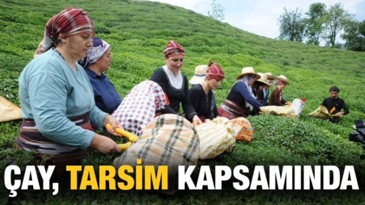 Çay, TARSİM Kapsamına Alındı