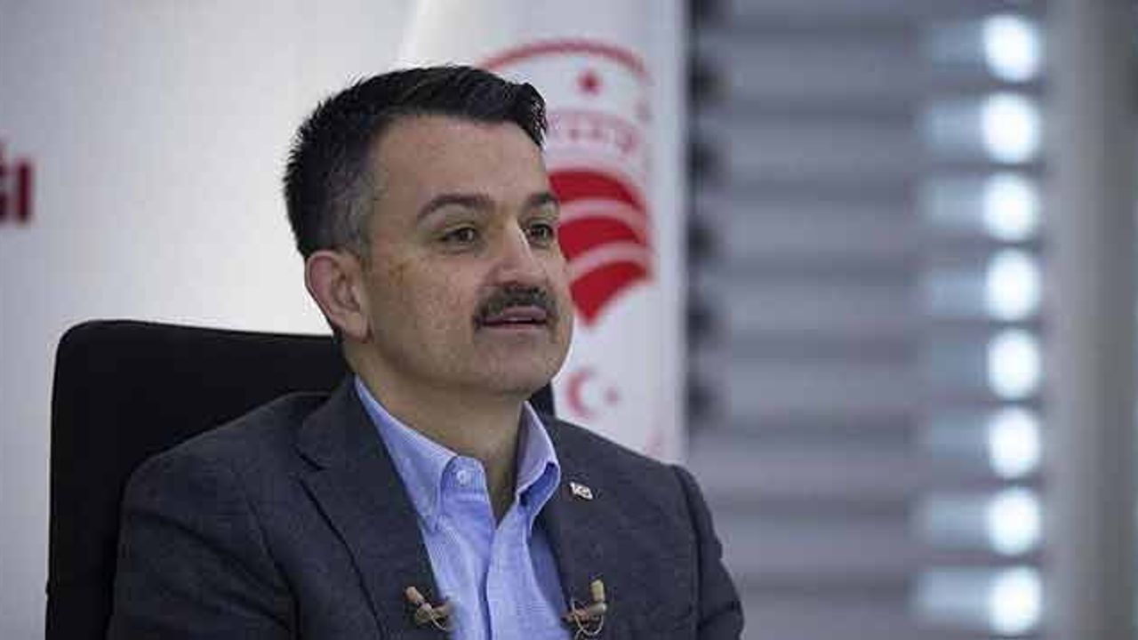 Bakan Pakdemirli: Hayvan Başı 65 Lira Yem Desteği Veriyoruz