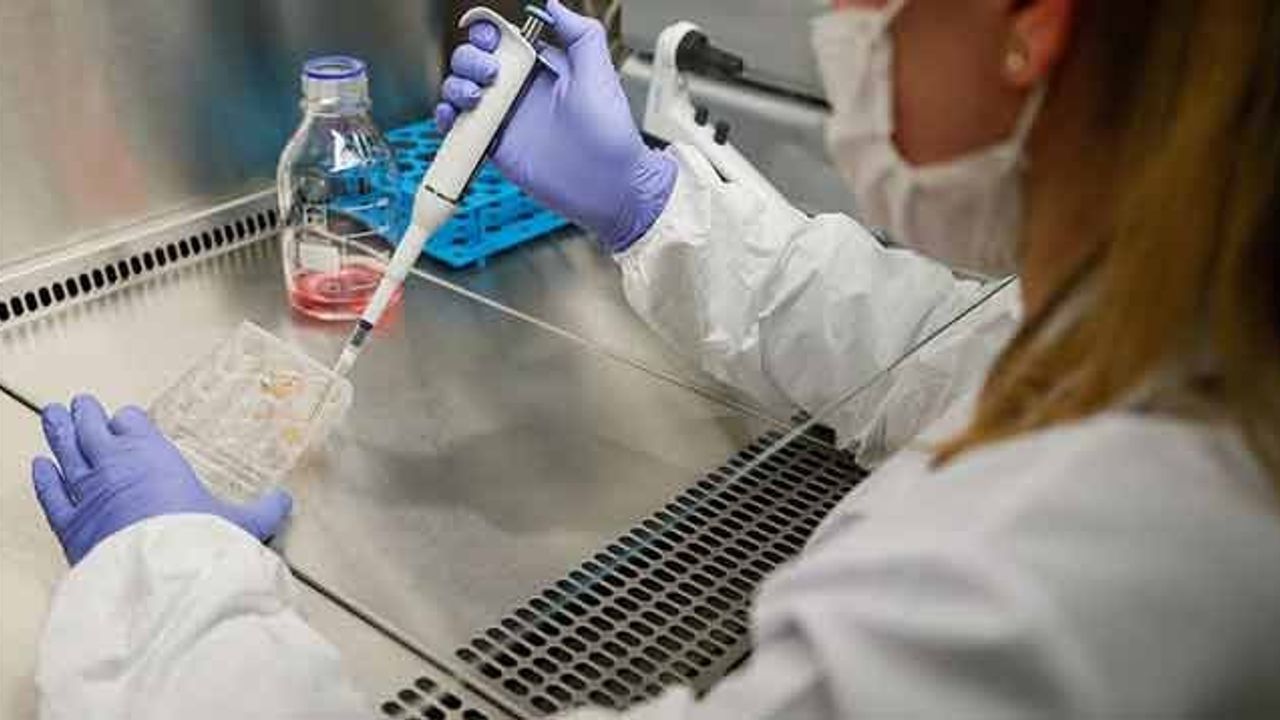 Hepatit C İlaçları Kovid-19 İçin Potansiyel Oluşturuyor