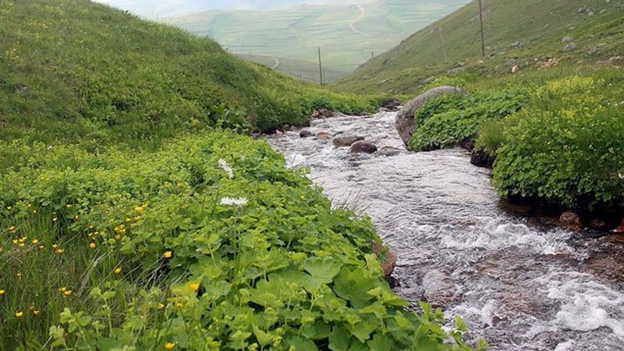 Bayburt'un Doğa Harikası Yaylaları Ziyaretçilerini Ağırlıyor