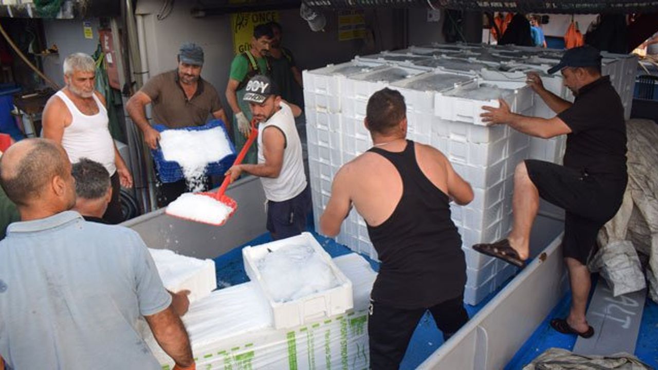 Balıkçılar Akçakoca Limanına Bol Palamutla Döndü