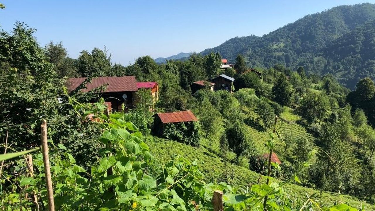 Geleneksel Köy Yaşamının Buluştuğu Şehir: Rize