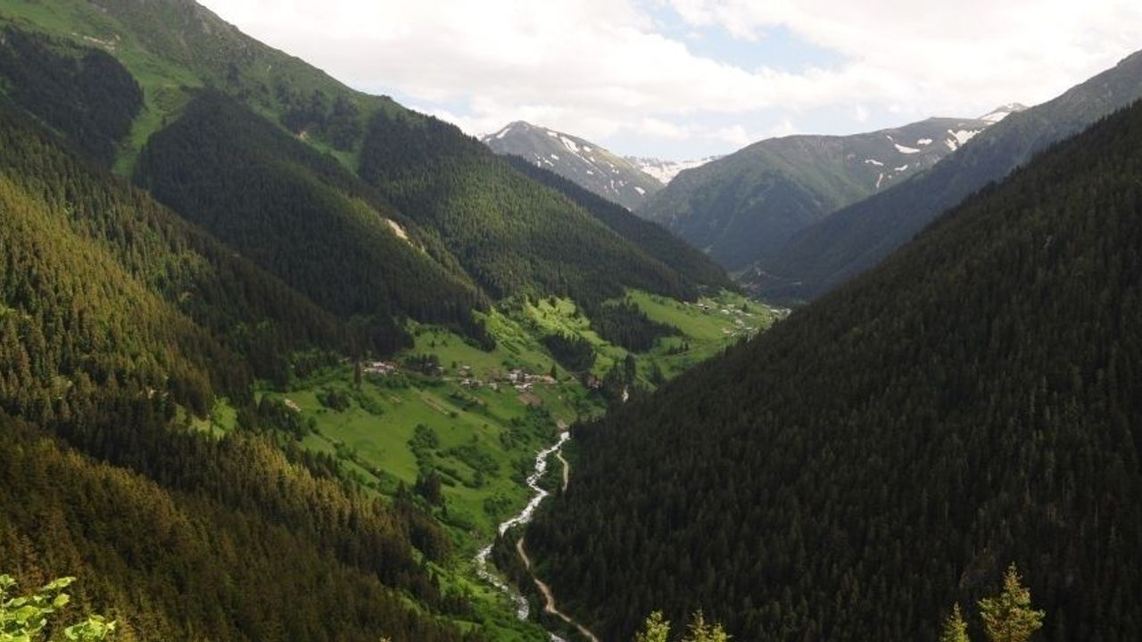 Rize'nin Görkemli Yaylası: Çifteköprü Yaylası 