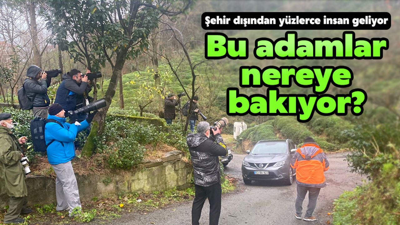 Bu Adamlar Nereye Bakıyor?