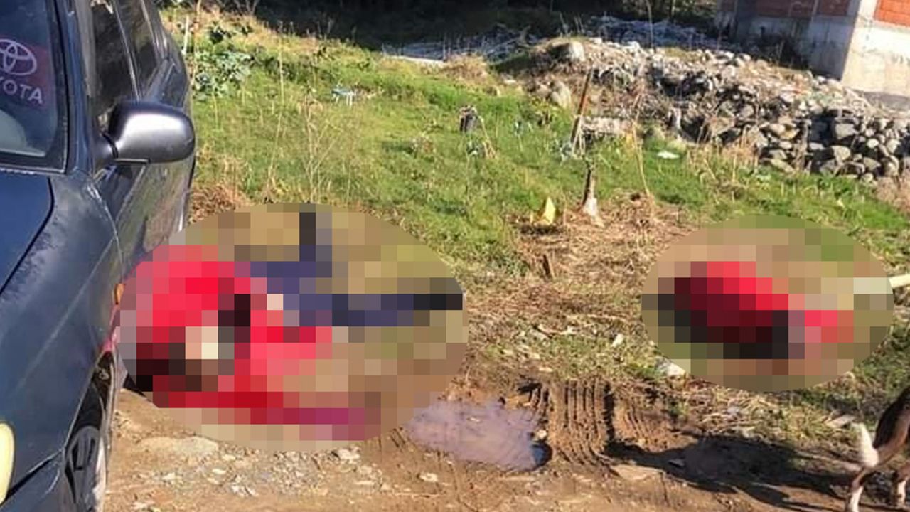 Arhavi'de Cinnet Geçiren Eş, Dehşet Saçtı