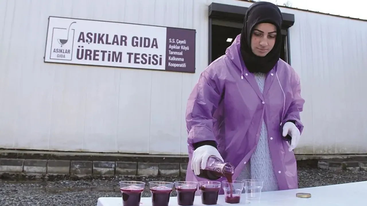 Yaptıkları Pekmezle Köylerinin İsmini Duyuracaklar
