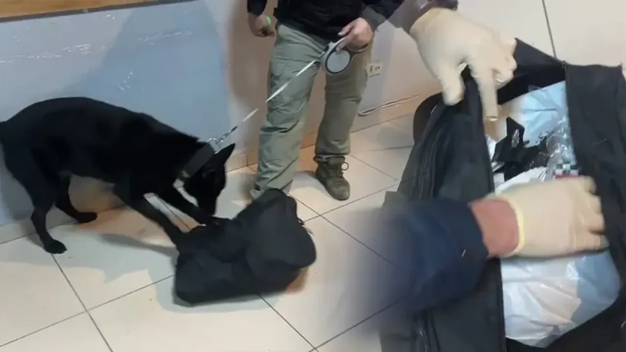 Dedektör Köpeği Peçeteye Emdirilmiş Bonzaiyi Buldu