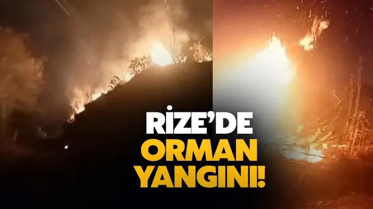 Rize'de Orman Yangını: 10 Dönüm Arazi Zarar Gördü 