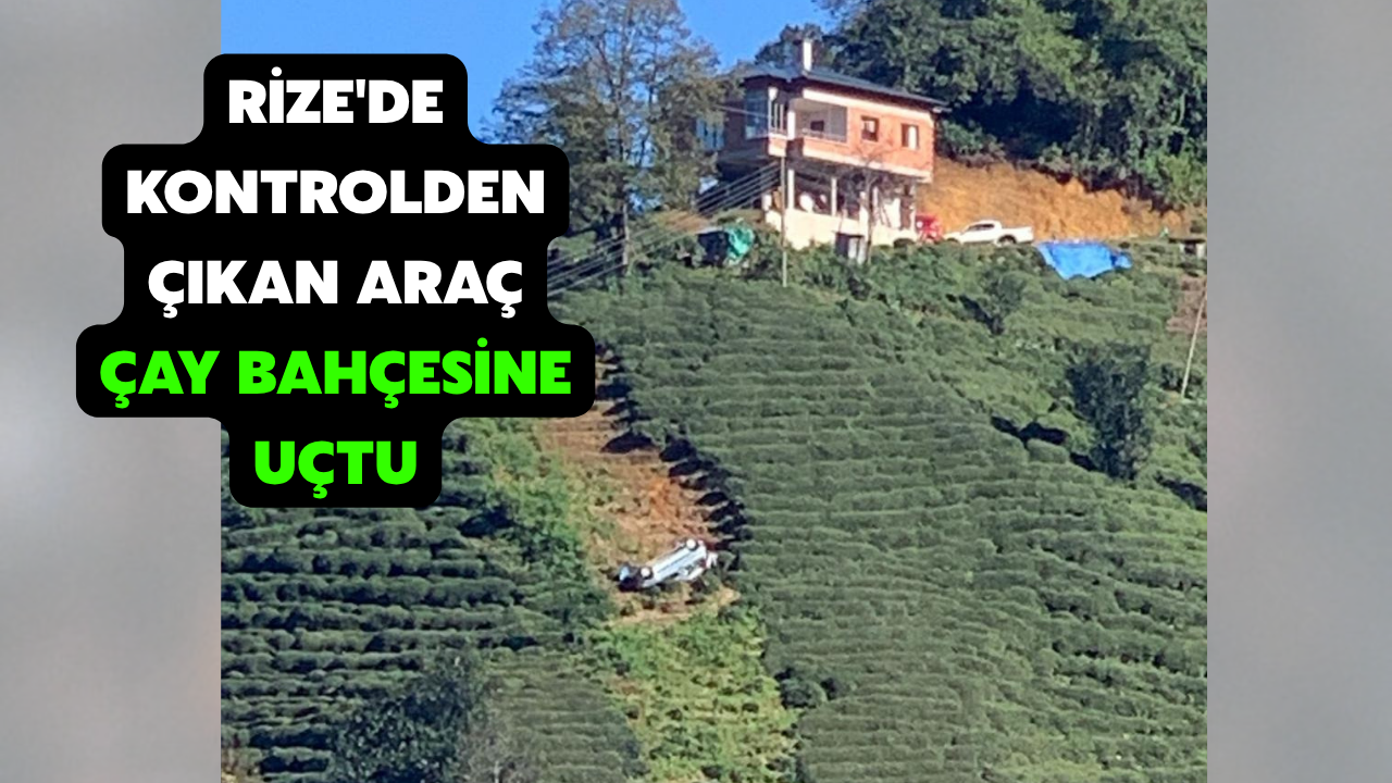 Rize'de Kontrolden Çıkan Araç Çay Bahçesine Uçtu