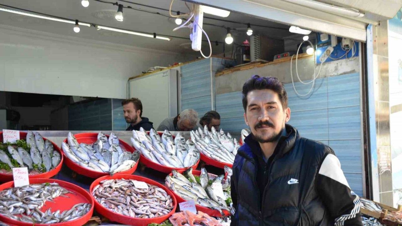 Mevsiminin En Lezzetli Balıkları Hamsi Ve Sardalya