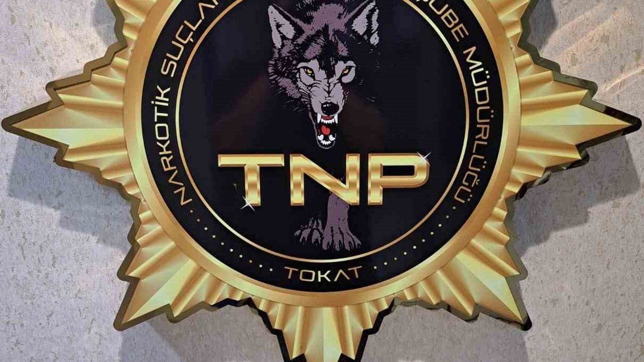 Tokat’ta Uyuşturucu Operasyonu, 500 İçimlik Bonzai Ele Geçirildi