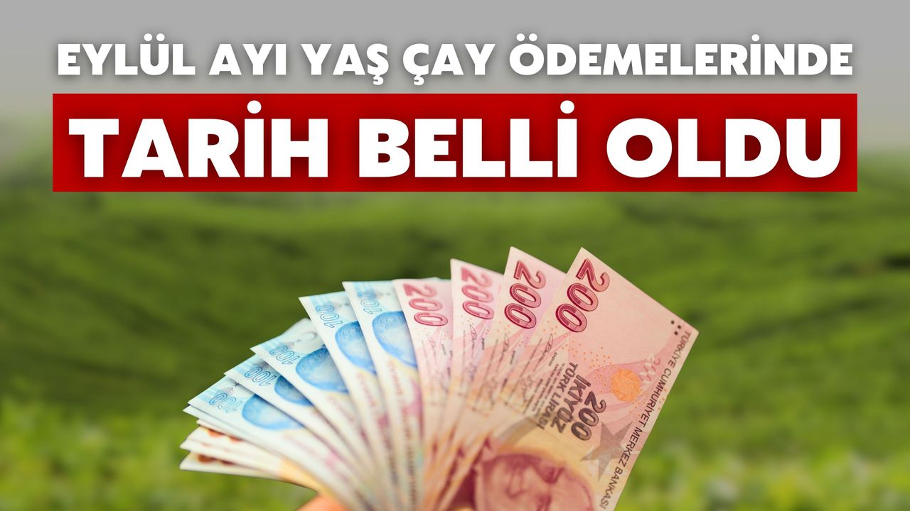 Eylül Ayı Yaş Çay Ödemelerinde Tarih Belli Oldu