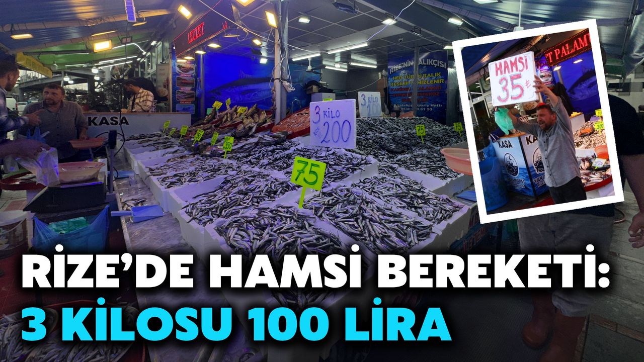 Rize’de Hamsi Bereketi: 3 Kilosu 100 Lira