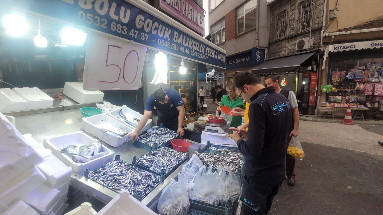 Karadeniz Hamsisi Tezgahları Doldurdu: Kilosu 50 Lira