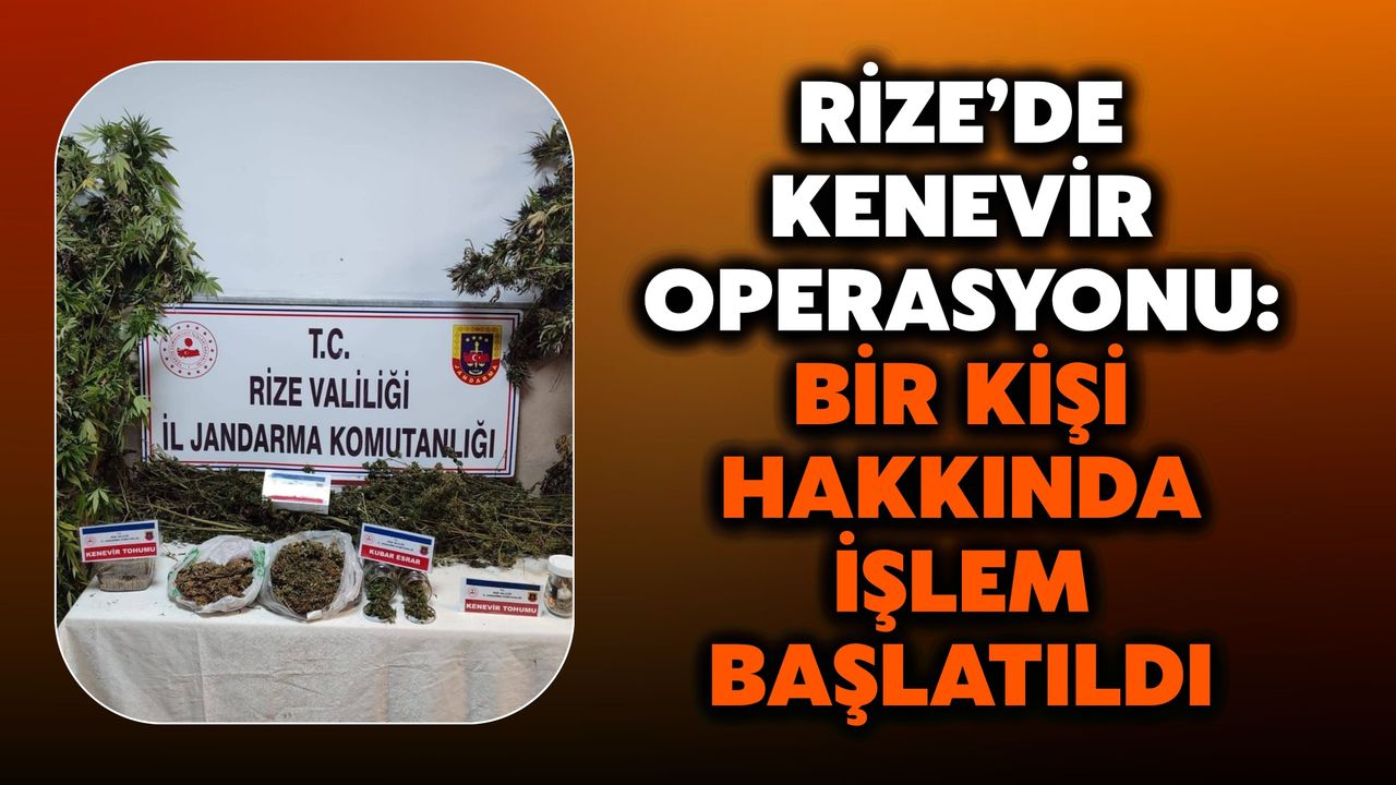 Rize’de Kenevir Operasyonu: Bir Kişi Hakkında İşlem Başlatıldı