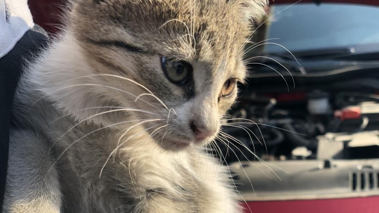 ‘Kontağı Çevirmeden Kaputa Vurun’ Uyarısı