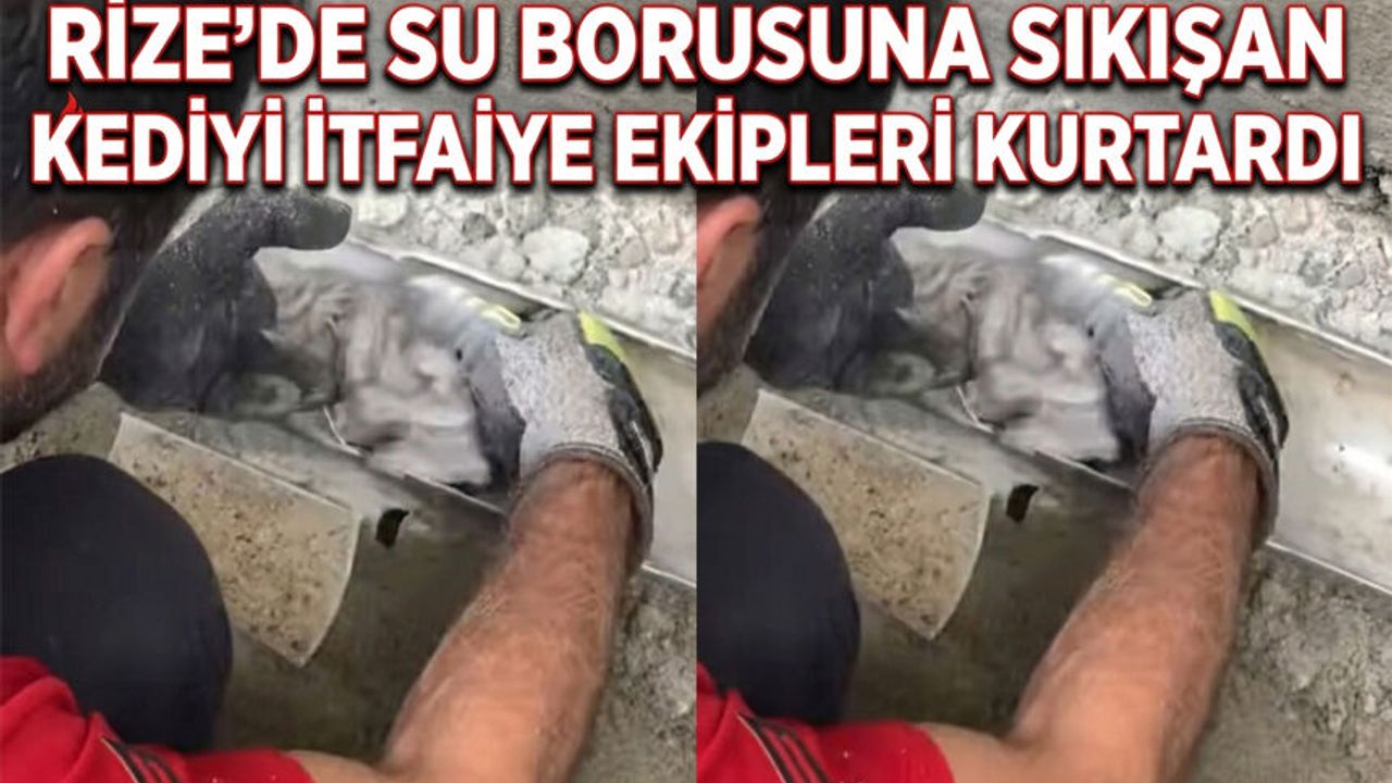 Rize'de Su Borusuna Sıkışan Kediyi İtfaiye Ekipleri Kurtardı