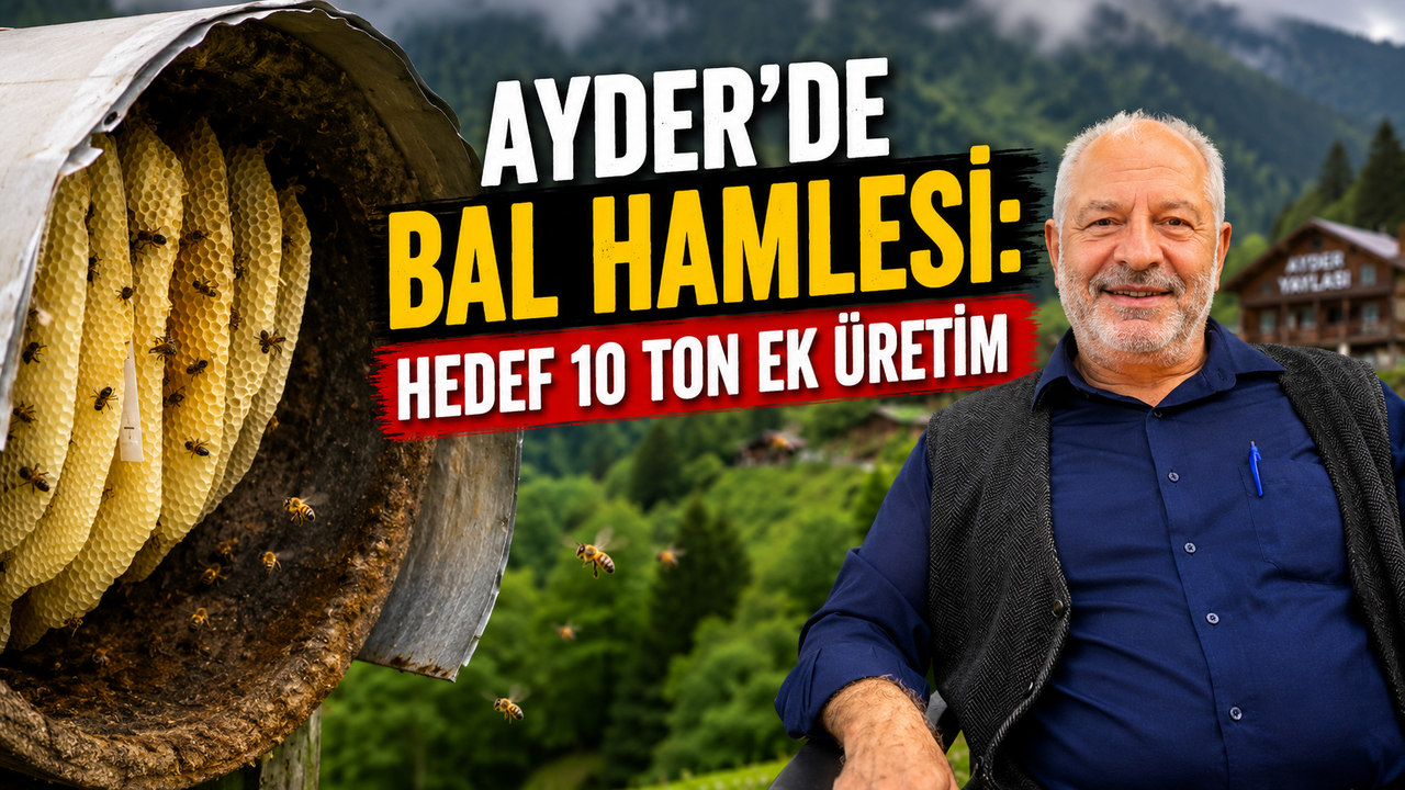 Ayder'de Bal Hamlesi: Hedef 10 Ton Ek Üretim