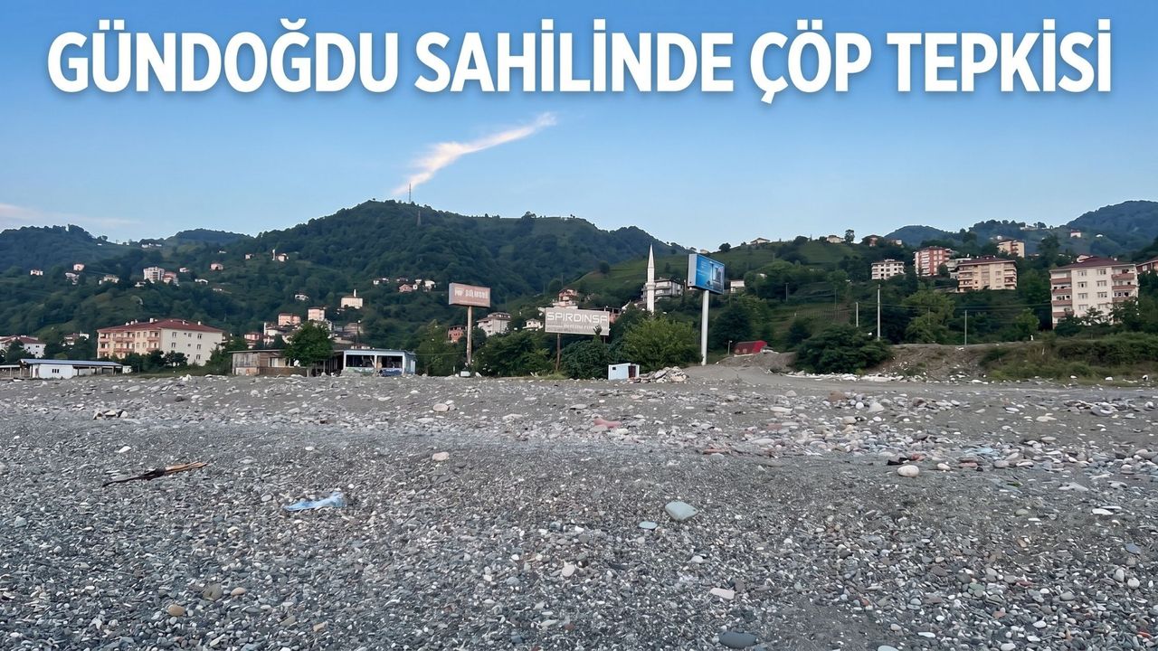 Denize Attıklarımız Sahilde Karşımıza Çıktı