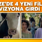 Rize'de 4 Yeni Film Vizyona Girdi