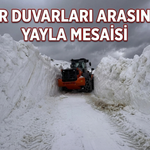 Kar Duvarları Arasında Yayla Mesaisi