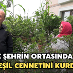 Rize'de Şehrin Ortasında Kendi Yeşil Cennetini Kurdu