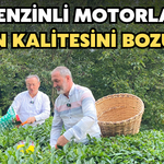 ÇAYKUR Genel Müdürü Yusuf Ziya Alim Bahçeye İndi: Benzinli Motorlar Çayın Kalitesini Bozuyor!