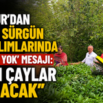 ÇAYKUR'dan İkinci Sürgün Çay Alımlarında 'Sıkıntı Yok' Mesajı: "Tüm Çaylar Alınacak