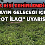3 Kişi Zehirlendi: Çayın Geleceği İçin "Ot İlacı" Uyarısı