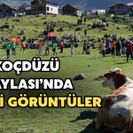 Koçdüzü Yaylası Renkli Görüntülere Sahne Oldu