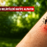 Sivrisinek Isırığı Ne Zaman Tehlikeli Olur? Bu Belirtileri Hafife Almayın