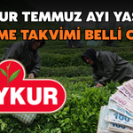 Çaykur Temmuz Ayı Yaş Çay Ödeme Takvimi Belli Oldu