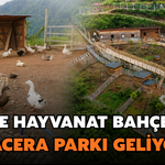 Rize'ye Butik Hayvanat Bahçesi Ve Macera Parkı Geliyor