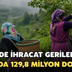 Rize’de İhracat Geriledi: 8 Ayda 129,8 Milyon Dolar