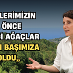 "Dedelerimizin 30 Yıl Önce Diktiği Ağaçlar Bugün Başımıza Bela Oldu"