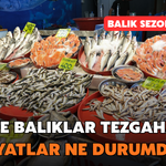 Rize'de Balık Sezonu Açıldı: Fiyatlar Belli Oldu
