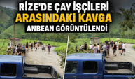 Rize'de Çay İşçileri Arasında Kavga: O Anlar Kamerada!
