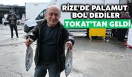 Tokat'tan Rize'ye Palamut İçin Geldi!