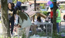 Rize Belediyesi Minik Canları Yeni Yuvalarıyla Buluşturdu!