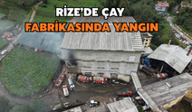 Çayeli'de Fabrika Yangını