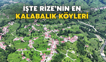 Rize'nin En Kalabalık Köyleri