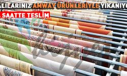 Rizenin Hijyen Halı Yıkama Fabrikası Açıldı