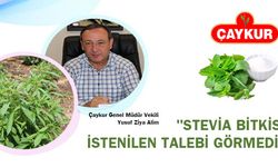 Stevia bitkisi üreticilere dağıtılıyor