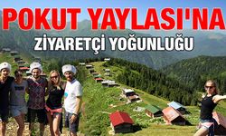 Rizede Pokut Yaylası`na Ziyaretçi Yoğunluğu
