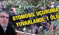 Rizede Uçuruma Yuvarlanan Otomobilin Sürücüsü Öldü