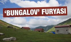 Karadeniz Yaylalarında 'Bungalov' Furyası