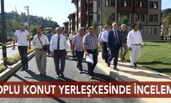 Üniversite Senatosu Yerleşkede İnceleme Yaptı