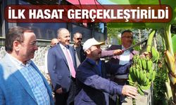 Çaykur'dan Muz Hasadı